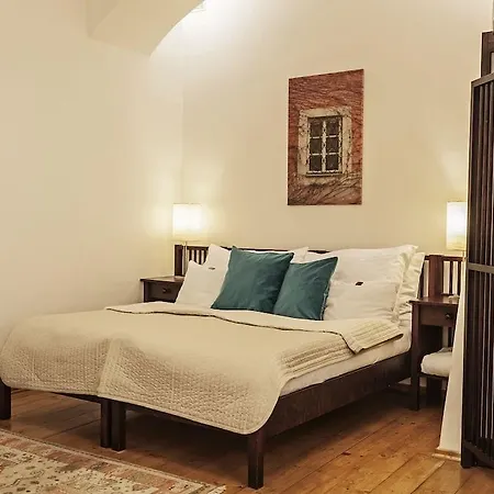Domus Henrici 4*