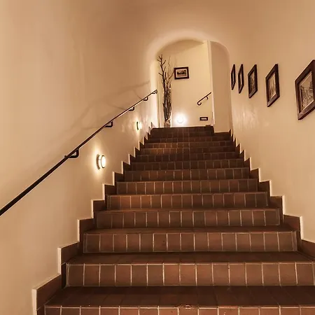 Domus Henrici 4*
