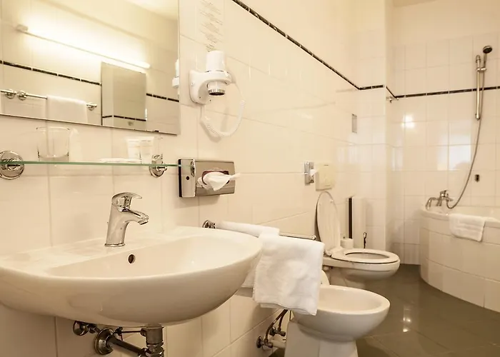Domus Henrici 4*