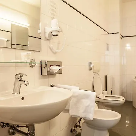 Domus Henrici 4*