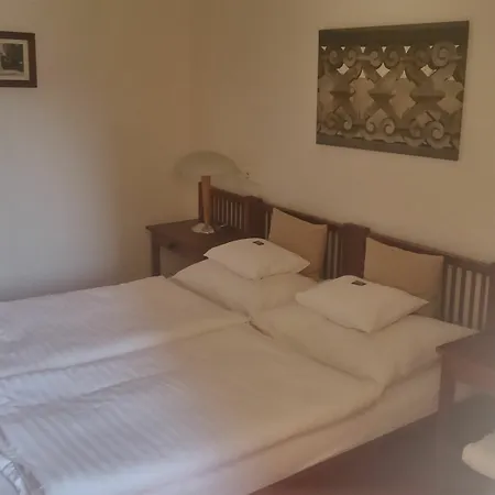 Domus Henrici Отель Прага