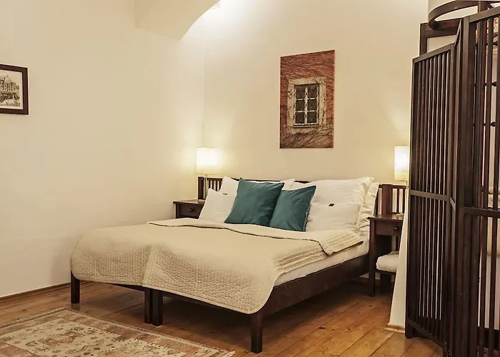 Domus Henrici 4*
