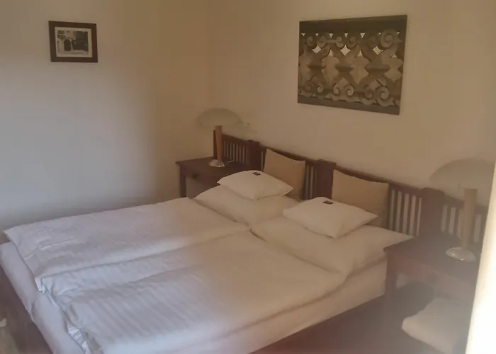 Domus Henrici Hotell Prag