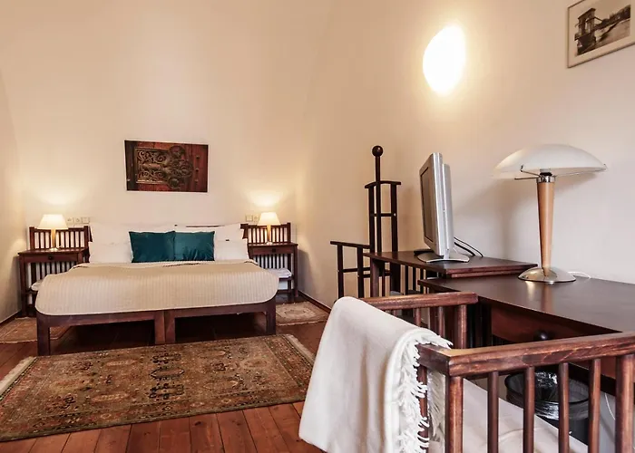 Domus Henrici 4*